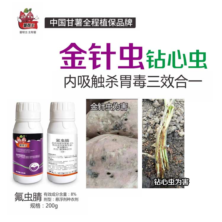 氟虫腈薯帮主甘薯金针虫小象甲防治