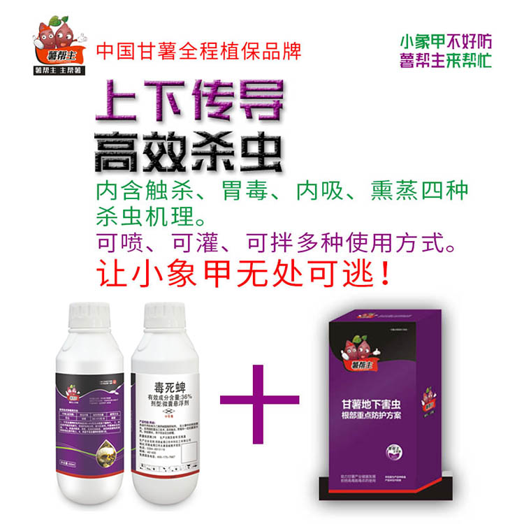 甘薯小象甲防治方案薯帮主毒死蜱吡虫啉薯帮主