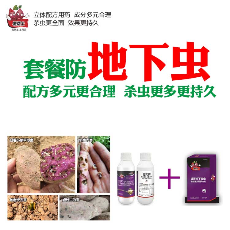 红薯地下害虫毒死蜱微囊悬浮剂薯帮主