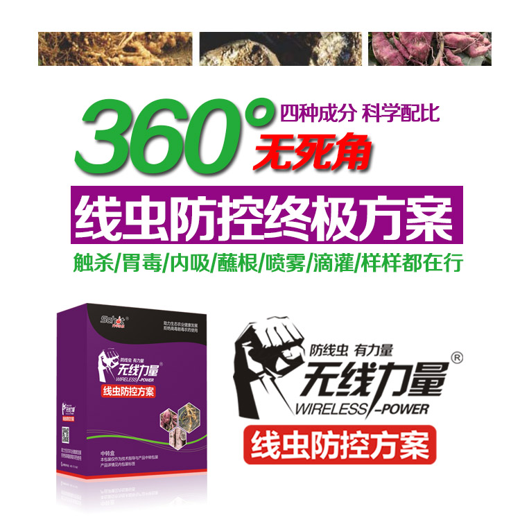 甘薯茎线虫 无线力量 薯帮主 地瓜线虫防治 噻唑膦 阿维菌素 氨基寡糖素