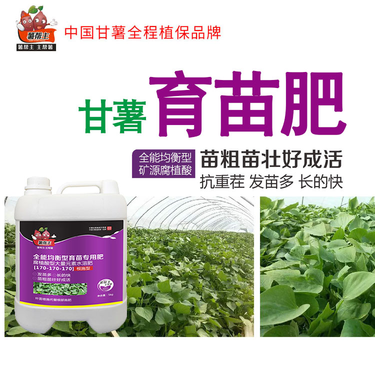 生根壮苗肥 甘薯育苗专用肥 薯帮主 升华永乐 红薯育苗肥 红薯专用肥