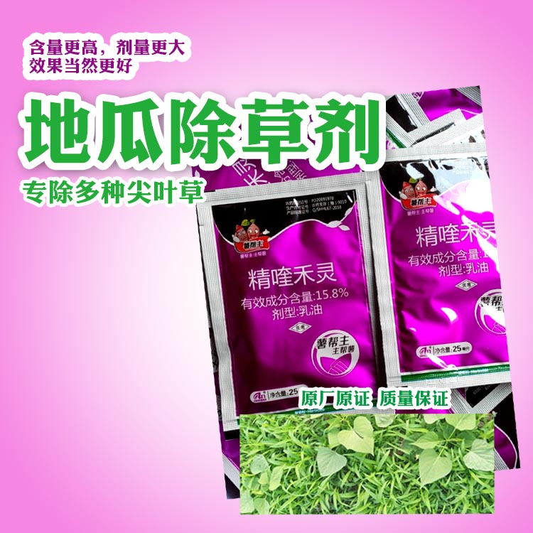 薯帮主精喹禾灵 地瓜除草剂 红薯专用除草剂 