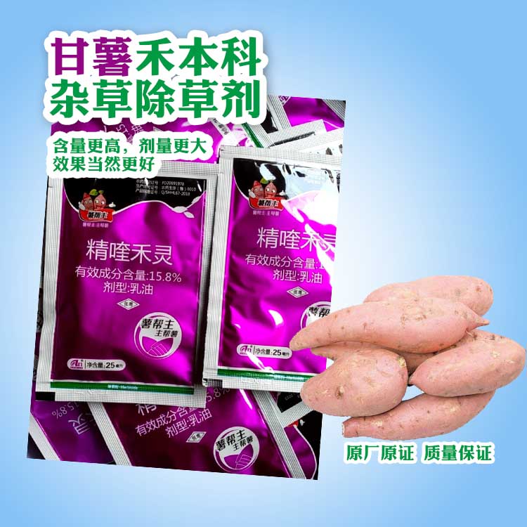 精喹禾灵薯帮主红薯除草剂