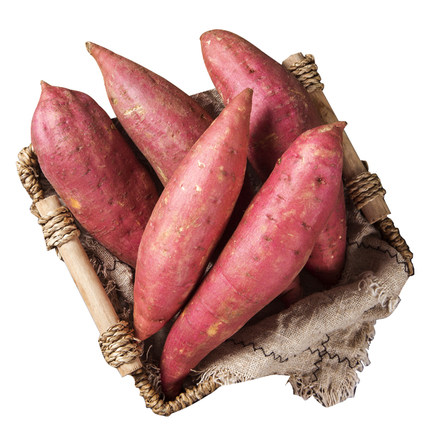 2020年9月25日薯帮主红薯收购信息发布