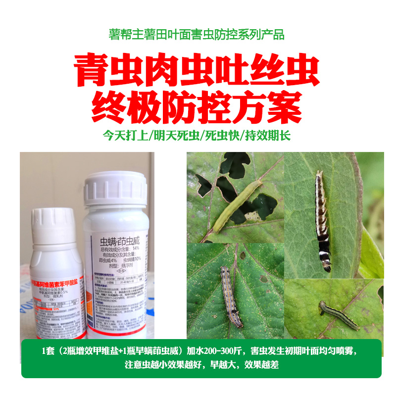 增效甲维盐薯帮主红薯马铃薯青虫肉虫防治