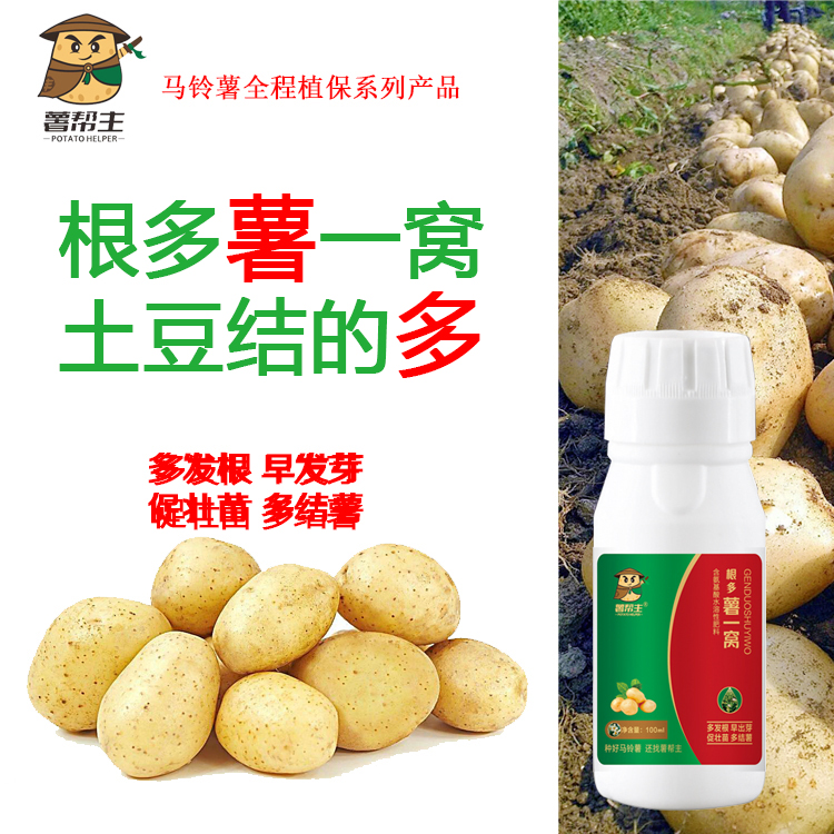 薯一窝马铃薯生根壮苗肥料薯帮主